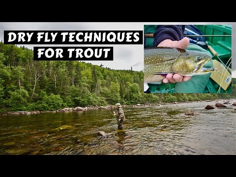 Principles of Dry Fly Fishing | Tom Rosenbauer
