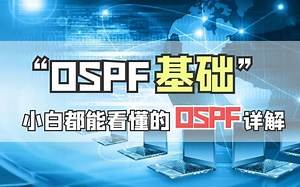60分钟带你入门OSPF协议，OSPF基础知识+SPF算法一网打尽！