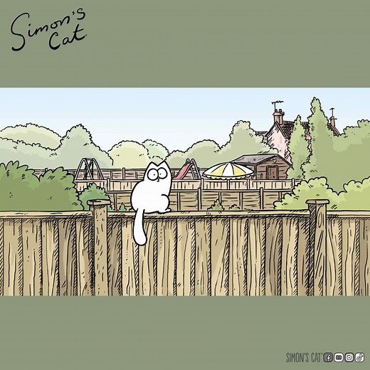 804K views · 27K reactions | In or Out!?! | Simon's Cat | Facebook