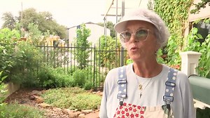 How to create an eco-friendly backyard