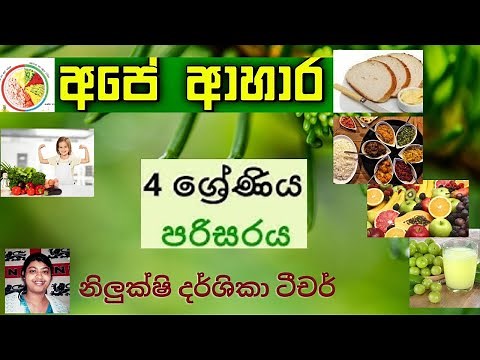 Grade 4 - පරිසරය - අපේ ආහාරඅපේ ආහාර | Grade 4 | Grade 4 Parisaraya |