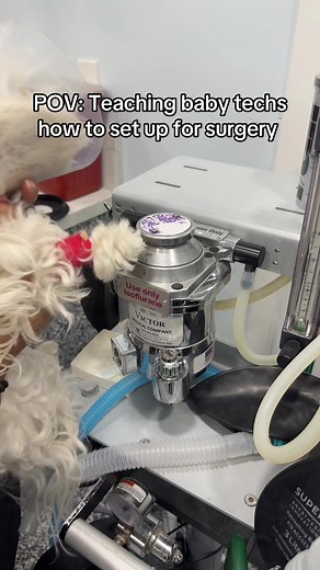 Essential Vet Tech Tips for Surgical Setup