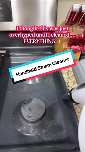 Incredible Power of a Handheld Steam Cleaner
