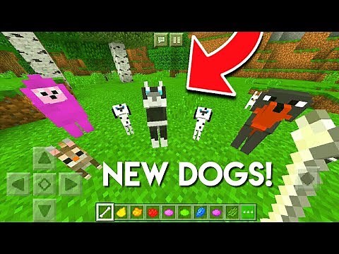How to Spawn NEW DOGS in Minecraft Tutorial !! ( Bedrock Edition )