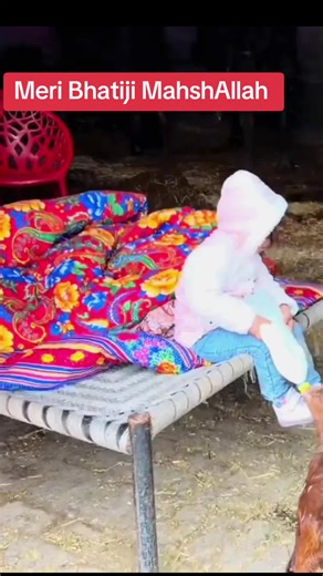 Waqar Bhinder Dairy Farm Vlog - MahshAllah Experience