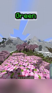 First To Find The Color Minecraft Challenge