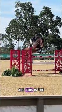 Let’s break down the Grand Prix Jumping #equestrian #grandprix #showjumping #horseriding #horseshow