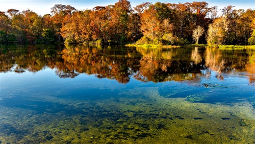 8 best places to see fall foliage in Florida from Palm Beach County