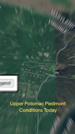 Upper Potomac River Piedmont Section Virginia Maryland Conditions Today Smallmouth Bass Fishing #potomac #smallmouthbass #dmvtiktok #riverfishing #fishinglife