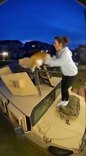Kitten Fires a Machine Gun on a Humvee!