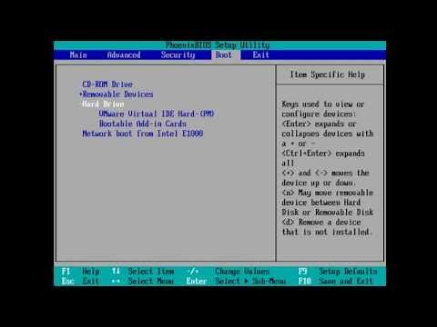 How to Set BIOS to Boot from USB Drive (Subtitled)