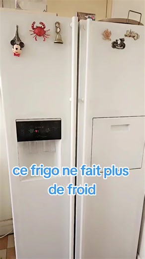 Réparation de Frigo : Comment le Redémarrer avec Succès
