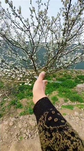 The technology flow mirror has a smooth transition. I want to be popular. Technology flow. My ru