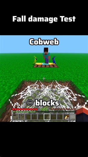 Fall Damage Test #minecraft #mcshorts