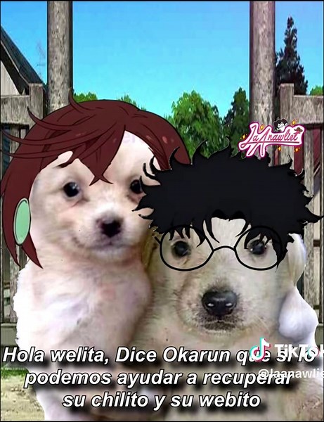 Hilarious Dandadan Anime Meme Compilation