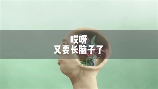 脑神经的发育过程，大家赶快一起学习长脑子呀