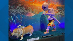 16 artists showcased at the Canopy by Hilton