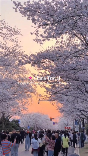 Yangzhou: The most poetic city in Jiangnan, with willows swaying by the water, ancient bridges arching over canals, and a elegance that has lasted for thousands of years! #yangzhou #扬州 #wolink #chinatravel #travel #tiktoktravel #beautifuldestinations #จีน #ท่องเที่ยวจีน #ท่องเที่ยว