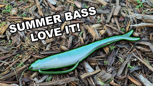 Catching More Bass in Summer With Googan Baits Dart