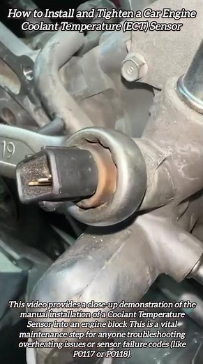 How to Install and Tighten a Car Engine Coolant Temperature ECT Sensor #shorts #mechanic #automobile