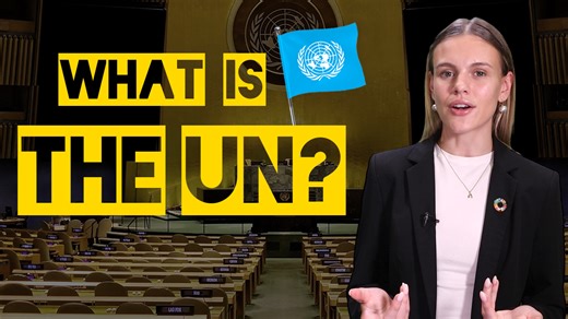 What is the United Nations? How it started? What it does? And why does it still matter today? Learn all this in the following United Nations explainer video. | UN in Brussels | Facebook