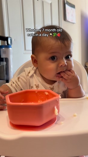 What my 7 month old eats in a day 🍓🍳🥦🧀 #blw #7monthsold #babyfood #foodtiktok #fypシ | feeding_kae