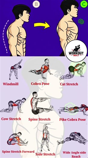 Fix Your Posture Fast 🔥 | Daily Stretch Routine for Perfect Body Alignment (Before & After)