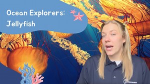 Famous for their stinging capabilities, this session is all about jellyfish! But, jellyfish are not fish - they are marine invertebrates. Learn more about their anatomy, adaptations, and more in this session. Book here: https://wiseoceans.com/product/public-virtual-education-sessions/ | WiseOceans