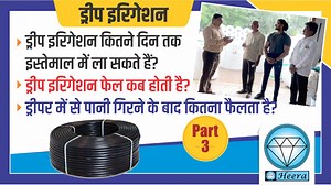 13 reactions | Drip irrigation is the most efficient water and...