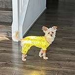 Dog Pajamas Small Sized Boy Girl, Cotton Stretchable Pet Clothes Jammies Puppy Outfits for Dogs Female Male, Spring Summer Doggie Doggy Pjs (Purple Duck, XS)