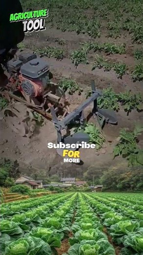 Hilling potatoes with a double row hiller