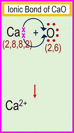Formation of ionic bond or electrovalent bond in calcium oxide (CaO). #chemistry