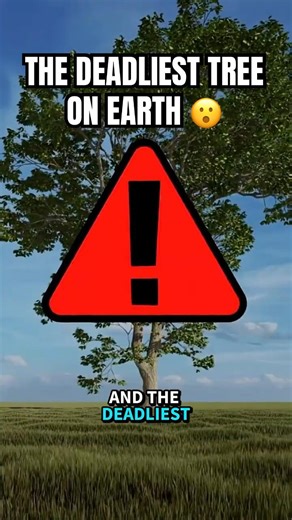 The Deadliest Tree on Earth 😲😲