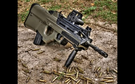 FN 2000突击步枪原理解析【WOG】