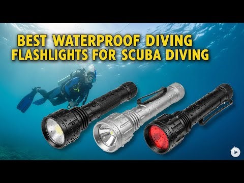 TOP 5 best waterproof diving flash lights for scuba diving 2026