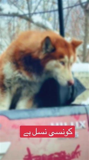 Exploring Generational Differences