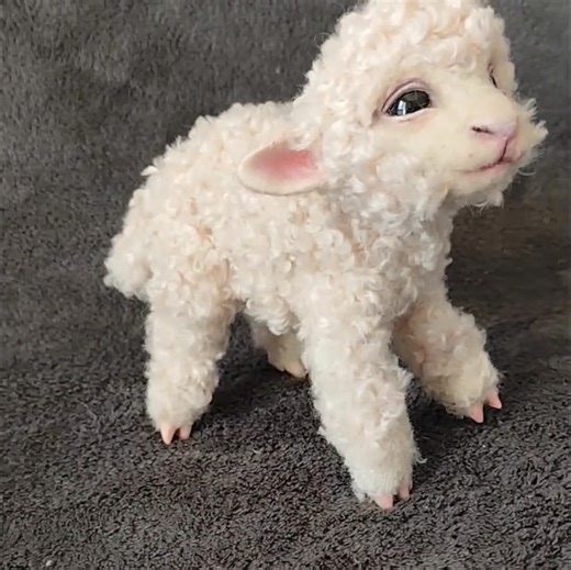 Baby Sheep, Sweet Lamb, Poseable Art Doll, Animall OOAK Creature, - Etsy