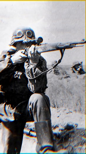 11K views · 285 reactions | Why did Germany’s top sniper Josef Allerberger only shoot advancing enemies in the stomach #history #ww #worldwar #wwii #military #war #army #wwiihistory #warhistory #usa | History need to know | Facebook