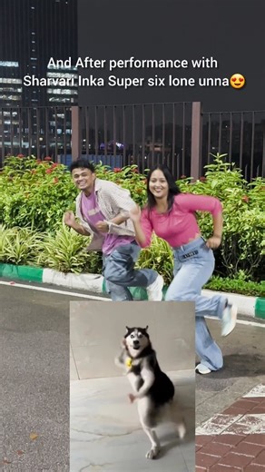 Sanket Gaonkar on Instagram: "Back to Back 7 Times in Super Six😍 🧿Husky kuda Happy ga unnadu🤣 All Thanks to @yashwanthmaster @i_am_piyush_gurbhele @nainika.anasuru26 @sharvari_gurpude18 @mansiiburile @about_demigods @iam_jiya_thakur . . . #dhee20 #sanketians #sanketgaonkar #sharvarigurpude #trending #huskydance"