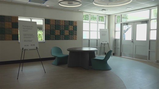 $7M upgrades to the Clarity Child Guidance Center hopes to help serve hundreds of more children in need