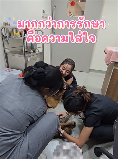 เด็กที่กลัวหมอ เป็นของคุณนะ 🤣 มาตรวจสุขภาพกันคร้าบบบบบ @โรงพยาบาลสัตว์อารักษ์ #โรงพยาบาลสัตว์อารักษ์ #arakanimal #มากกว่าการรักษาคือความใส่ใจ #สัตว์เลี้ยงtiktok #สวนสัตว์tiktok