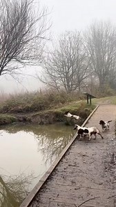 Make a splash this weekend! @countrylook | Upstate Diary