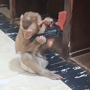 Abu repaired the gun to take to self-defense. | Mr Abu