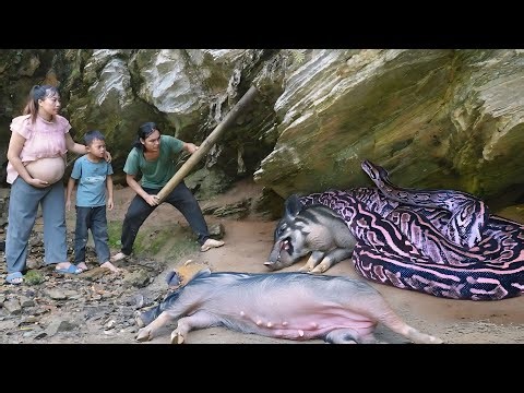 My son and I went fishing in the stream, a giant python attacked my piglets, daily life on the farm