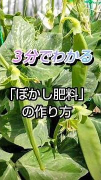 【本編】３分でわかる「ぼかし肥料」の作り方