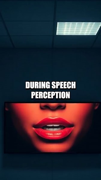 Seeing Sounds The McGurk Effect Explained