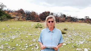 2.3K views · 19 reactions | Die verwoestende brand wat Vrydag 6 Desember bokant Melkhoutfontein, naby Stilbaai, begin het en oor die afgelope twee weke aan en af gebrand het is uieindelik op 22 Desember finaal geblus. | Suid-Kaap FORUM | Facebook