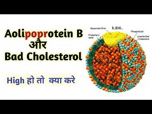 apolipoprotein b | Apo B-100 | lipoproteins