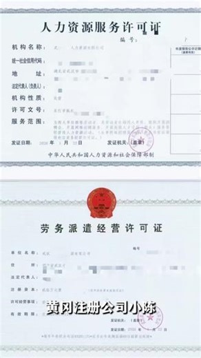 人力资源许🉑需要哪些资料? 劳务派遣许🉑需要哪些资料 #黄冈注册公司小陈 #人力资源许可证需要什么资料 #劳务派遣人力资源 #劳务派遣经营许可证 #鄂州注册公司小陈