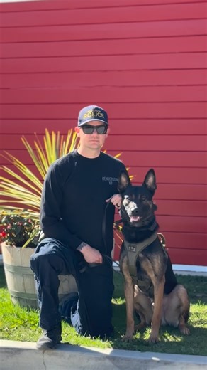 5.3K views · 6.9K reactions | Congratulations to these teams on completing our Basic Patrol school  HANFORD PD SANTA BARBARA PD NORTH LAS VEGAS PD HENDERSON PD (NV) MENIFEE PD SAN LUIS OBISPO SO If you are in the market for your next police k9, you can reach us direct at 805-647-1799 or office@goldcoastk9.com #quality #since91 #whatsyourstandard #tacticalfuel #goldcoastk9 | Gold Coast K9 | Facebook